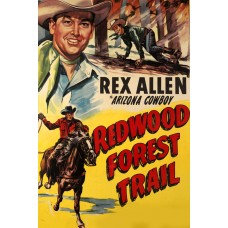 REDWOOD FOREST TRAIL 1950